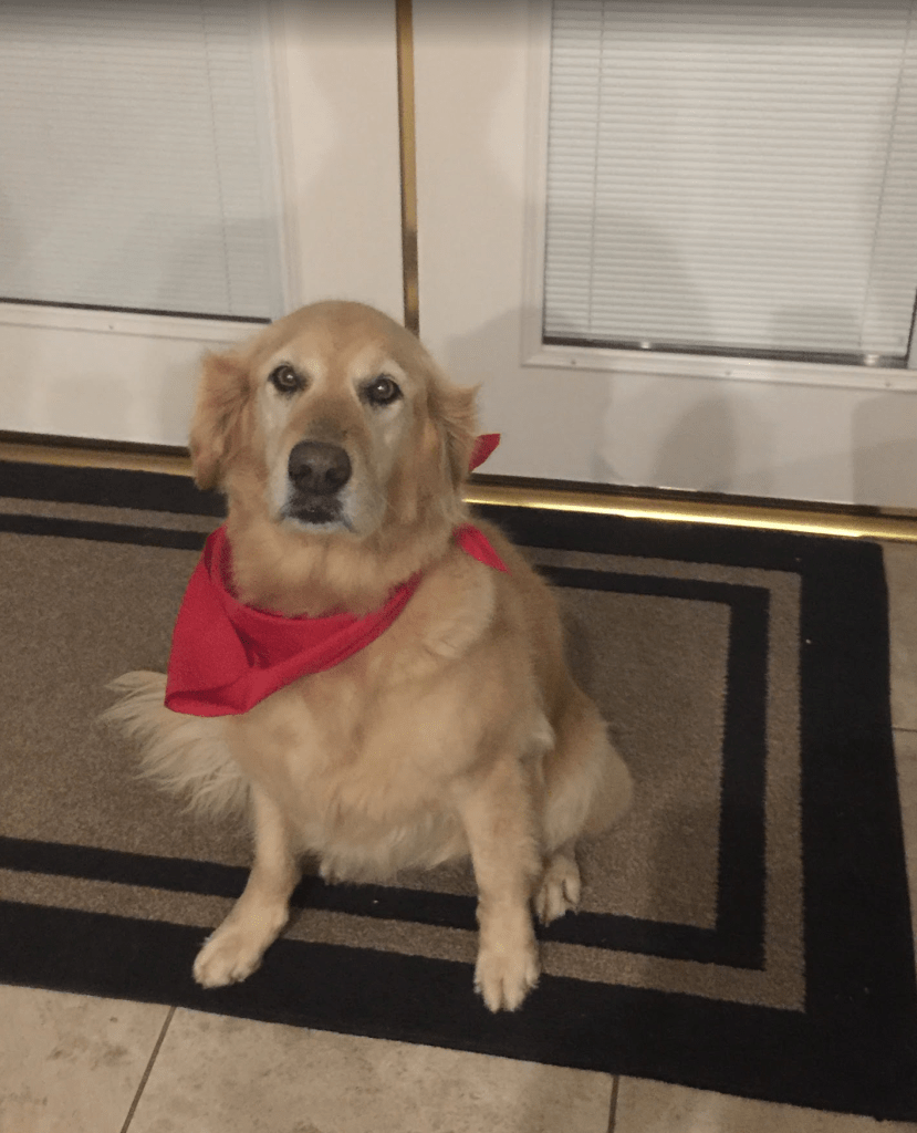 Montana training at home!