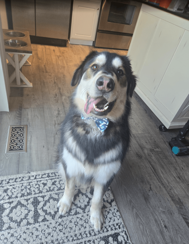 Shadow training at his home with Addison